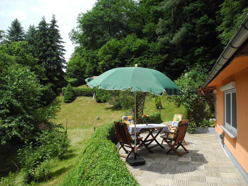 Ferienhaus am Urzeitpark Sebnitz Hertigswalde Exterior foto